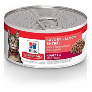 HILLS FEL LATA SALMON X 5.5 OZ