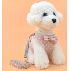 ARNES CHALECO CORBATIN M ROSADO BOLITAS