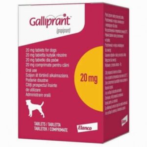 GALLIPRANT 20MG X 30 TAB