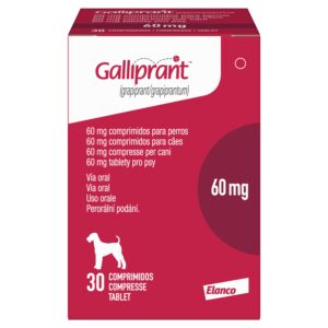 GALLIPRANT 60MG X 30 TAB