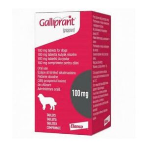 GALLIPRANT 100MG X 30 TAB