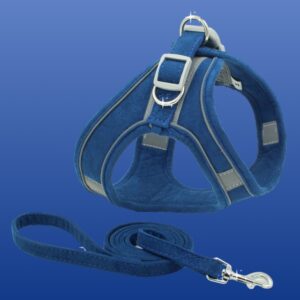 TRAÍLLA Y ARNES PA09 S AZUL