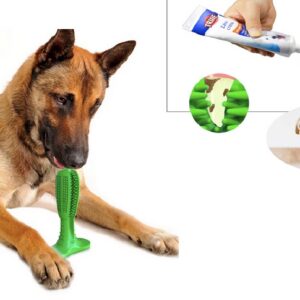 JUGUETE LIMPIA DIENTES L