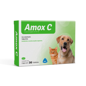 AMOX C X TAB