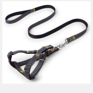 TRAÍLLA CON COLLAR ARNES S -1.0x120CM NEGRO