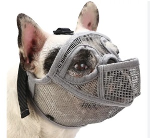 BOZAL PARA BULLDOG PA24 GRIS S