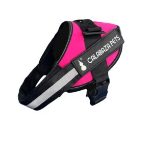 ARNES ANTITIRONES FUCSIA M (AGOTADO)