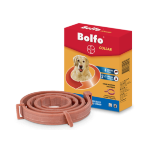 COLLAR BOLFO