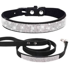 COLLAR Y TRAÍLLA FASHIO NABLE PA67-C NEGRO M