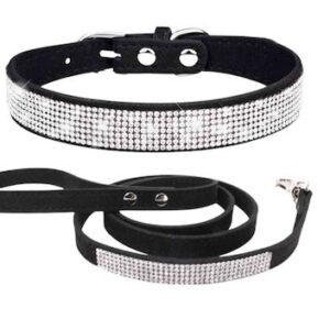 COLLAR Y TRAILLA FASHIONABLE PA67-C NEGRO XS