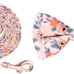 COLLAR Y TRAÍLLA MOÑO L-CORBATIN-DURAZNO