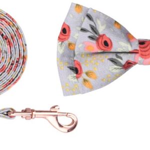 COLLAR Y TRAÍLLA MOÑO S-CORBATIN-GRIS