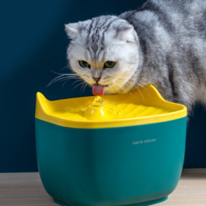 Fuente Kitty 2.5 L PC102 Verde (AGOTADO)