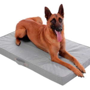 CAMA DANKO L TOTTO PDCBCA1013-231 G13 PLUM KITTEN