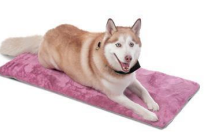 CAMA PORTATIL SHERPY M TOTTO PDCBCA2002-231 M89 CACTUS FLOWER