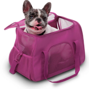 TULA MASCOTA MARLEY 2.0 TOTTO PDCCTU1001-231 M89 M CACTUS FLOWER