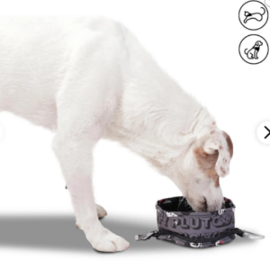 BEBEDERO PORTATIL VITO MICKEY MOUSE TOTTO PDCDBP1002-231 5Y1 MICKEY PETS