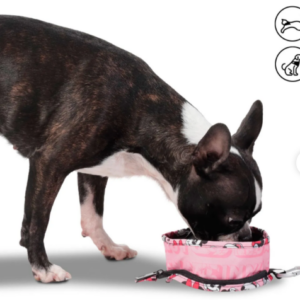 BEBEDERO PORTATIL VITO MINNIE MOUSE TOTTO PDCDBP1003-231 91C MINNIE PETS