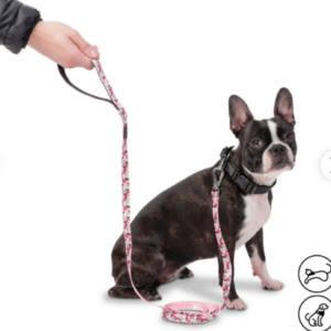 CORREA MANIJA SENCILLA ODYE DISNEY MINNIE MOUSE S TOTTO PDCOMS1009-231 91C MINNIE PETS