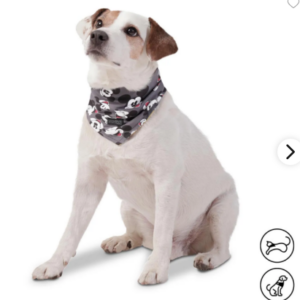 PAÑUELO MENTA DOBLE FAZ 2,0 DISNEY MICKEY MOUSE S TOTTO PDCRPA1007-231 5Y1 MICKEY PETS