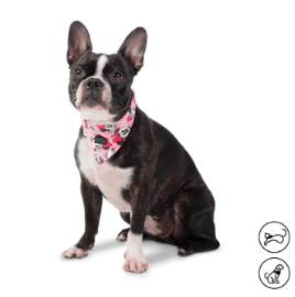 PAÑUELO MENTA DOBLE FAZ 2,0 DISNEY MINNIE MOUSE M TOTTO PDCRPA1012-231 91C MINNIE MOUSE