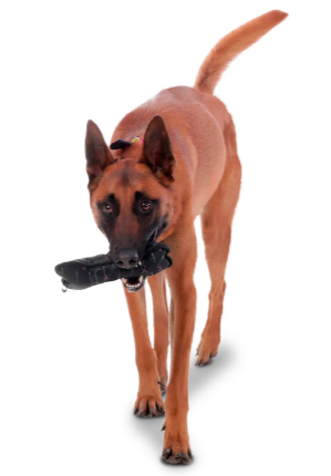 JUGUETE MASCOTA BONE TOTTO PDCTJU1001-231 5C9 DUNNA