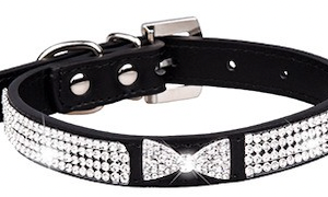 Collar glossy mascotas pequeñas PA67-B - Negro