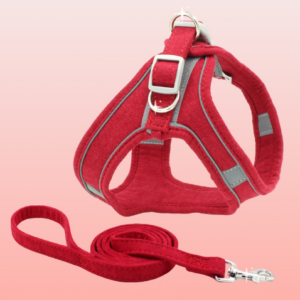 TRAÍLLA Y ARNES PA09 L ROJO