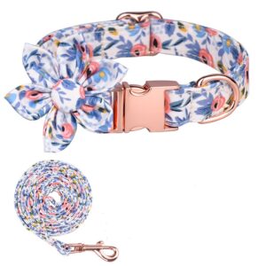 COLLAR Y TRAÍLLA FLOR L-AZUL