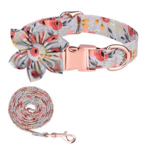 COLLAR Y TRAÍLLA FLOR M-GRIS