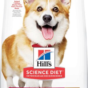 HILLS CAN ADULT CAN ADULT LAMB & RICE SB X 15.5LB