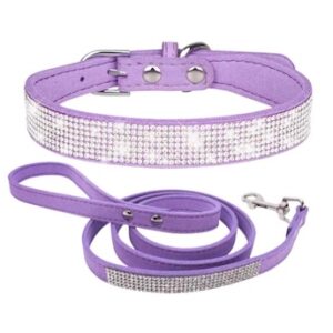 COLLAR Y TRAÍLLA FASHIONABLE PA67-C S-MORADO