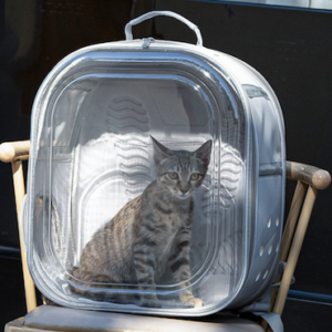 MORRAL TRANSPARENTE PB109 GRIS