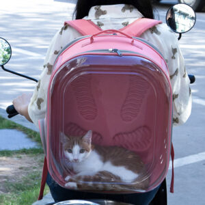 MORRAL TRANSPARENTE PB109 ROSADO