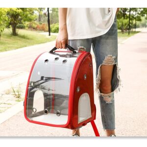 MORRAL TRANSPARENTE SIRENA PB03A ROJO (AGOTADO)