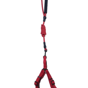 TRAILLA CON ARNES S ROJO (AGOTADO)