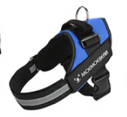 ARNES ANTITIRONES AZUL L (AGOTADO)