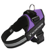 ARNES ANTITIRONES MORADO M (AGOTADO)