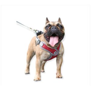 Pechera y Correa Premium Roja S