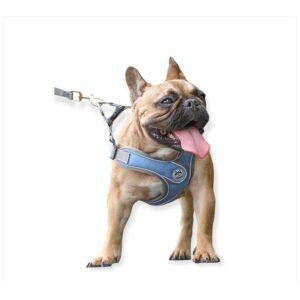 Pechera y Correa Premium Azul M