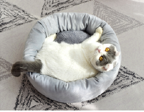 COJIN REDONDO FLUFFY GRIS (AGOTADO)