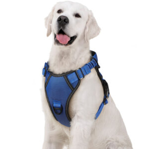 PECHERA CON ABSORCIÓN DE IMPACTOS AMORTIGUACIÓN PA112 AZUL S