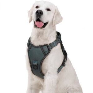 PECHERA CON ABSORCIÓN DE IMPACTOS AMORTIGUACIÓN PA112 GRIS S