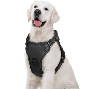 PECHERA CON ABSORCIÓN DE IMPACTOS AMORTIGUACIÓN PA112 NEGRO L