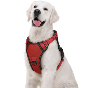 PECHERA CON ABSORCIÓN DE IMPACTOS AMORTIGUACIÓN PA112 ROJO S