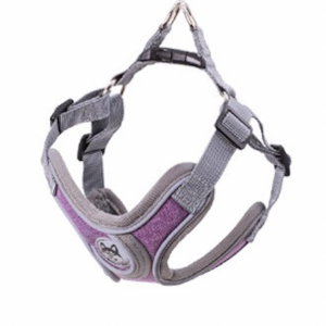 PECHERA Y CORREA PREMIUM PA80 MORADO S