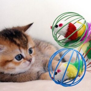 PELOTA METALICA CON RATON PJ30