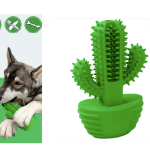 JUGUETE LIMPIA DIENTES CACTUS