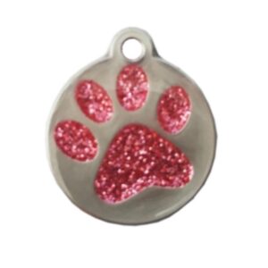 PLACA REDONDA PLATEADA HUELLA ROSA CON ESCARCHA