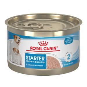 ROYAL CANIN CAN STARTER M&B LATA X 145GR